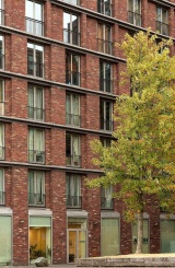 Кирпич ручной формовки Engels Kameleon [HANDFORM] WFD65