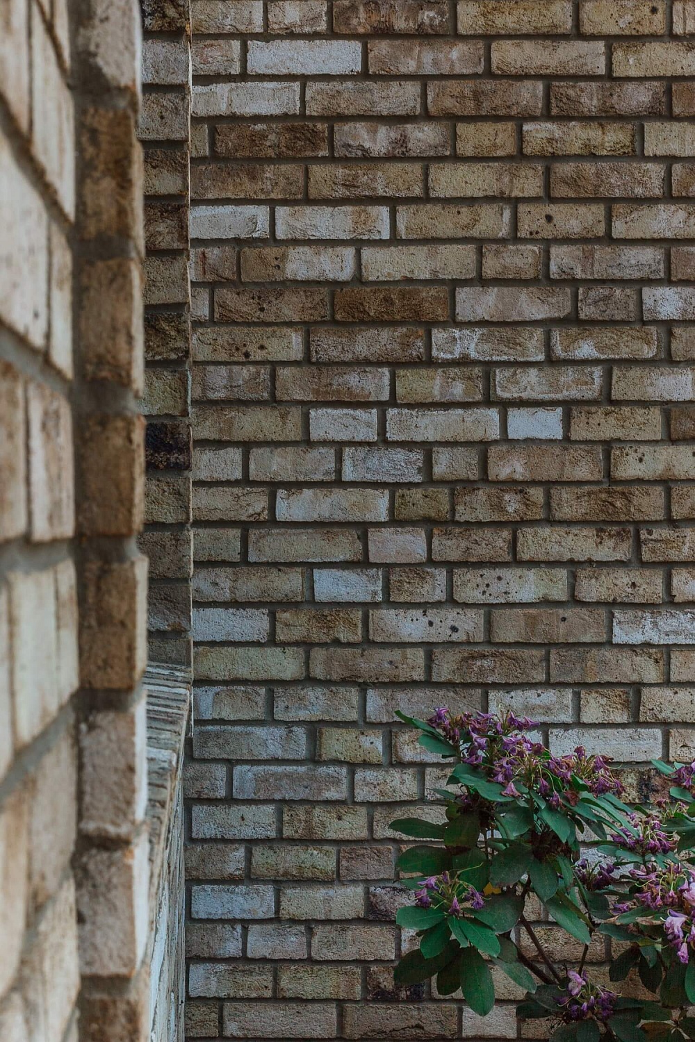 Частный дом в Краснодаре